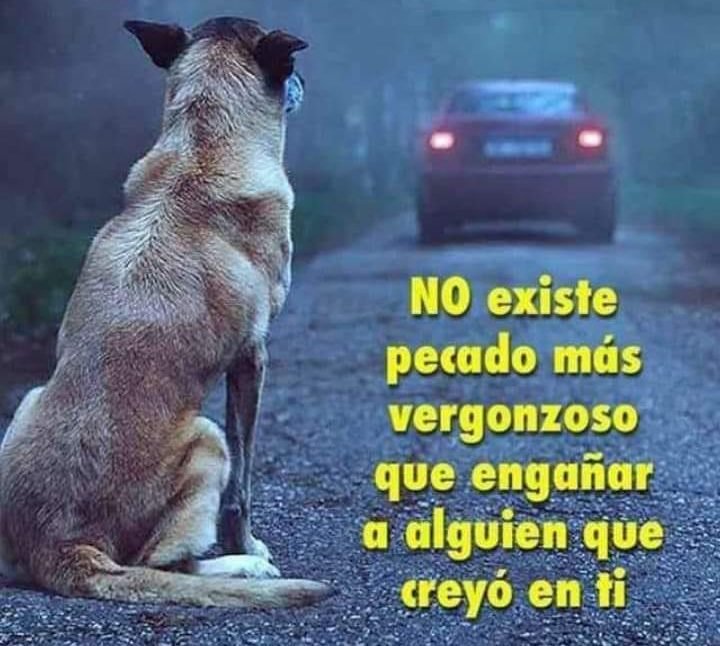perro
