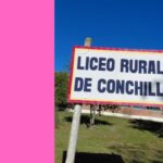Liceo en Acción